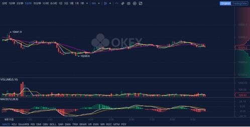 Factors Influencing BTCUSD Price