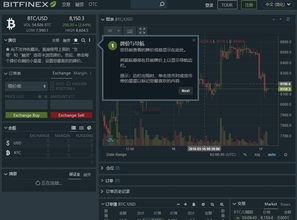 Understanding Bitcoin and INR Exchange Rate Dynamics