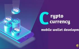 What is a Cryptocurrency Wallet?