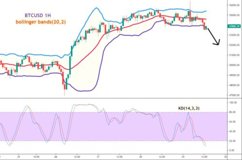 Understanding the BTC/USD Trading Pair