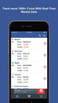 Types of Cryptocurrency Coin Charts