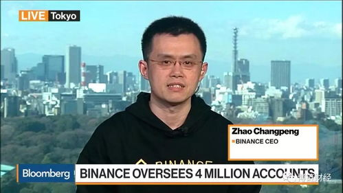 Investment Trends in Binance