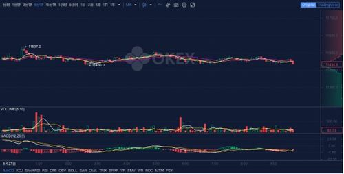 Current Market Trends