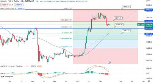 Benefits of Using BTC Fibonacci Levels in Trading