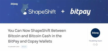 Key Features of BitPay