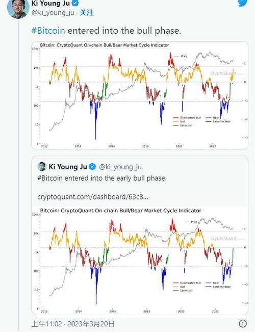 Understanding the Mayer Multiple