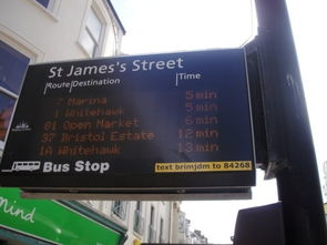 Understanding the Bus Routes