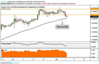 Understanding the Binance Stock Price