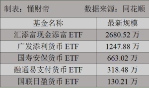 Understanding BTC Mini ETFs