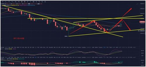 Market Trends and Insights