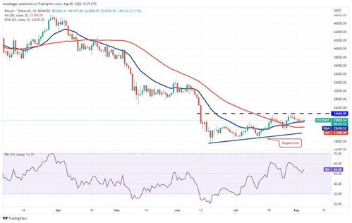 How to Track BTC to EUR Rates