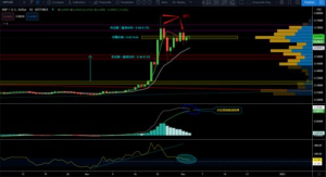 Market Capitalization Overview