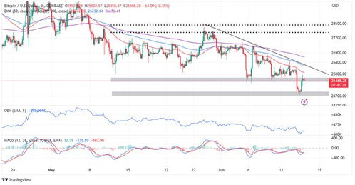 Alternatives to BlackRock BTC ETF