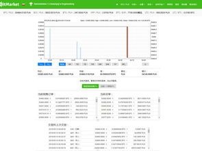 Key Factors Influencing the BTC LP Index 2065