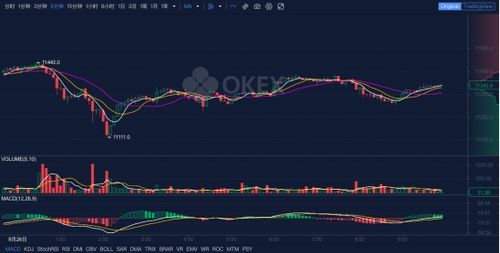 Technical Analysis of BTCUSD Trends