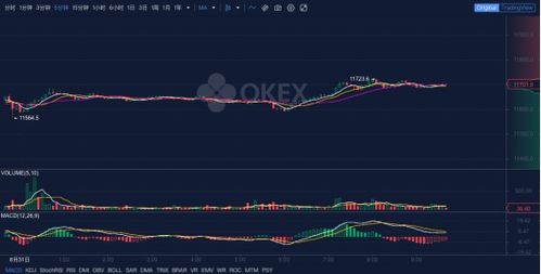 What are BTC/USD Futures?