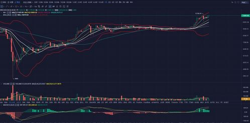 The Downfall of Mt. Gox