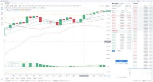 BTC与USDT的汇率概述