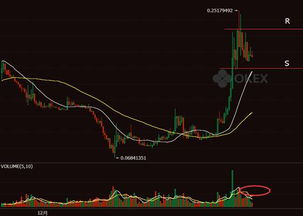 Understanding the Basics of BCH and BTC