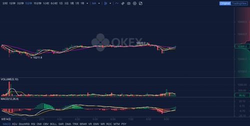 Factors Influencing Bitcoin's Price