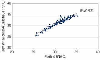 Understanding GBTC Shares