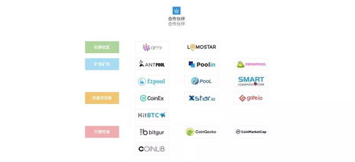 Strategies for Maximizing Bitcoin Holdings