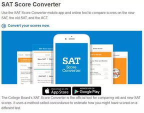 Using a SAT to BTC Calculator