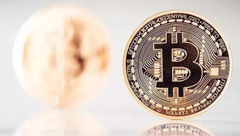 Factors Influencing Bitcoin's Value