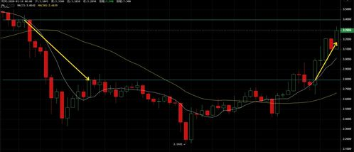 Comprendre le Bitcoin et le Franc CFA