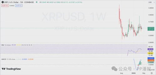 Understanding the XRP Cryptocurrency