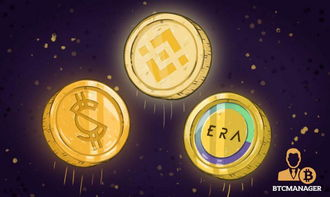 Understanding Binance Coin