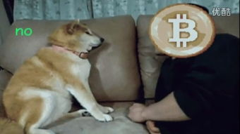 The Rise of Dogecoin