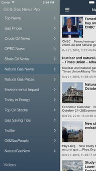 Market Trends Surrounding ENS