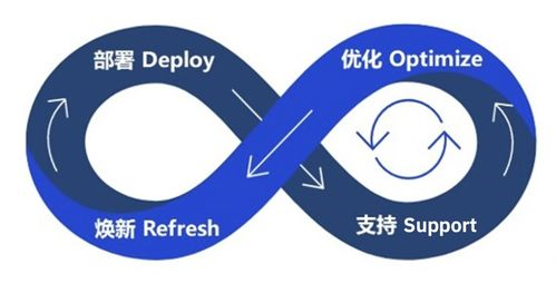 Phases of Technology Lifecycle Management