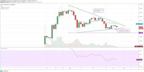 Overview of DOT/USD Dynamics