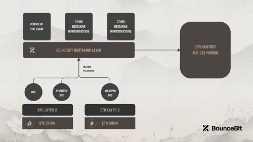 Understanding BounceBit Pricing Dynamics