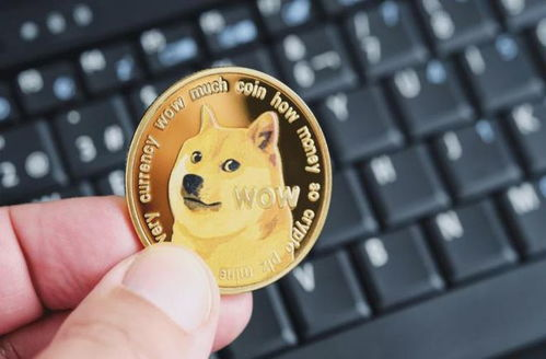 Factors Influencing DOGE's Price Movement