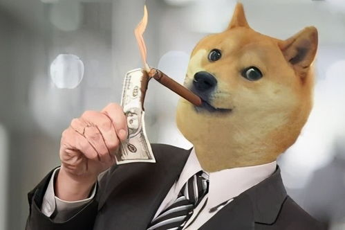 Investing in Dogecoin