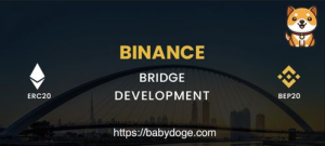 Understanding Baby Doge Coin