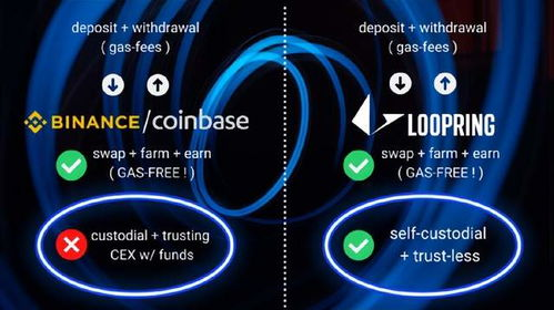 Factors Influencing Loopring Volume