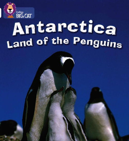 Understanding the Volume of Pudgy Penguins