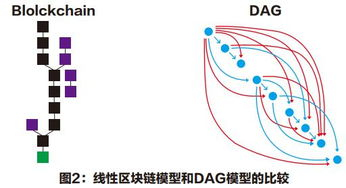 Investing in Hedera Hashgraph