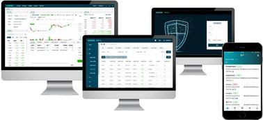 Understanding IMX and Its Value