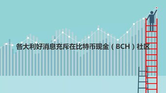 Factors Influencing BCH Market Capitalization