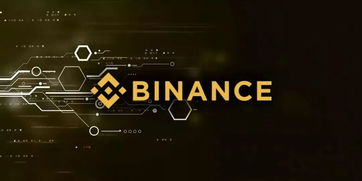 Recent Price Movements of Binance Coin